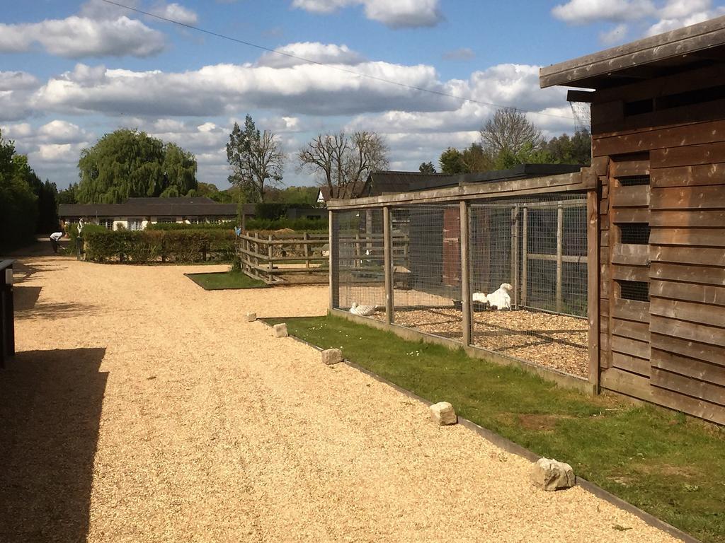 Willow Court Farm Studio West & Petting Farm, 8 Mins To Legoland & Windsor, 15 Mins To Lapland Uk Villa Eksteriør bilde